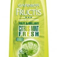 350-garnier-fructis-fruit-sensation-shampoo-citrus-mint-fresh