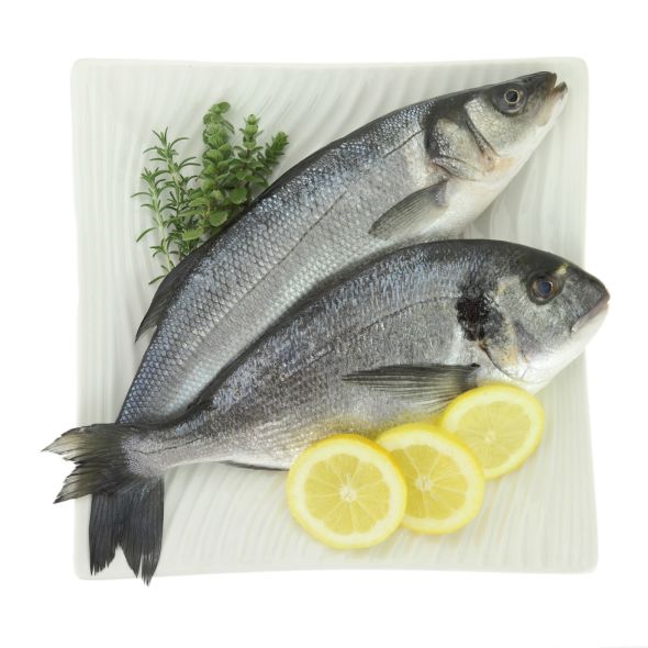 Fresh fishes with lemon and herbs on plate isolated on white